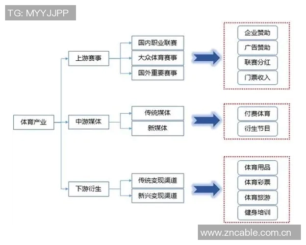 以职业联赛为核心打造体育产业新生态推动全方位发展与创新改革